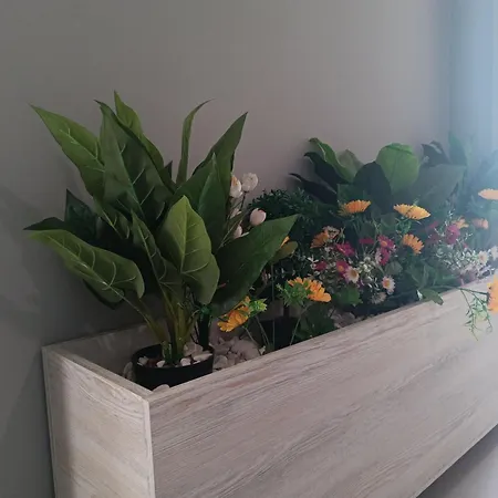 Appartement 19th & 18th Floor Secure With Pool & Fitness & Parking Included In Price